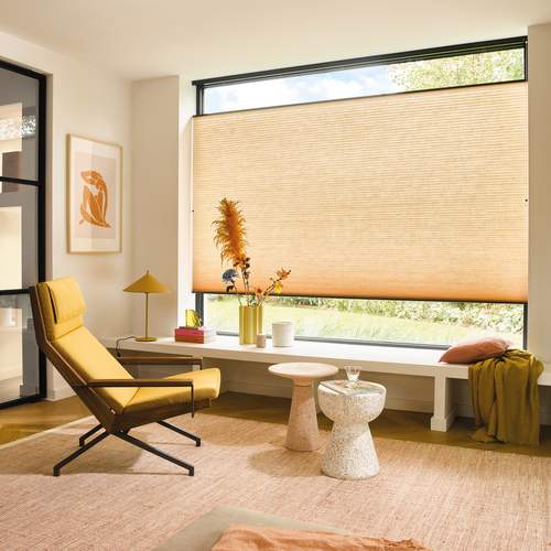 Duette Shades